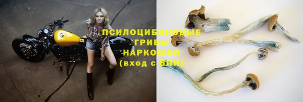 jwh Пересвет
