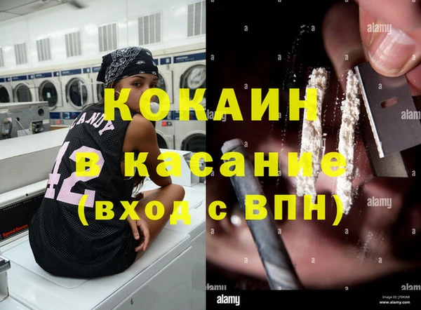 ПСИЛОЦИБИНОВЫЕ ГРИБЫ Пестово