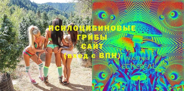jwh Пересвет